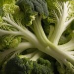 Vitamin and Mineral Food Sources